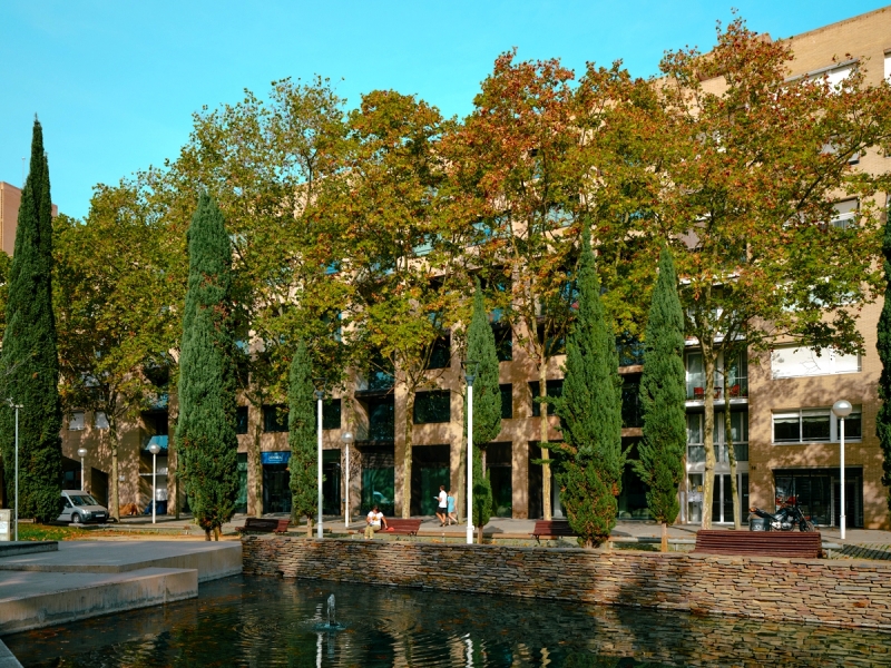 Joan Miró 11.jpg